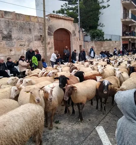 Asociación Murense de la Tercera Edad