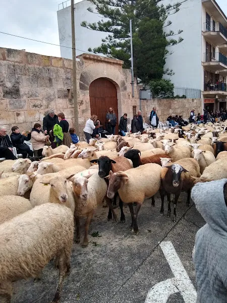 Asociación Murense de la Tercera Edad