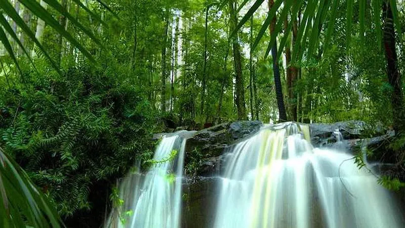 Centro de atencion a la 3a edad la palmera: paisaje de cascada y jardín terapéutico con agua cayendo suavemente entre abundante vegetación
