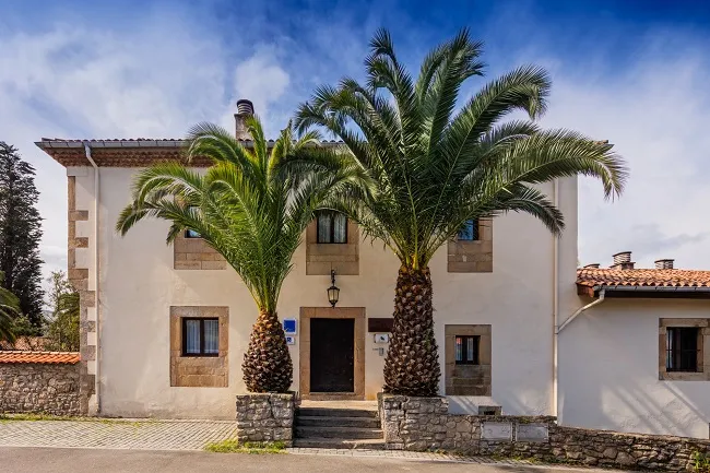 Fachada con dos palmeras y entrada central del domusvi palacio de caldones