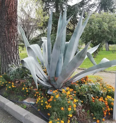 Residencia Los Almendros