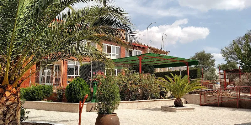 Patio exterior con palmeras, macetas y pérgola verde de la residencia maravillas
