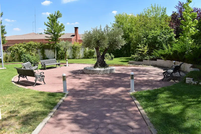 Jardín con bancos y olivo en la residencia para mayores ballesol mirasierra