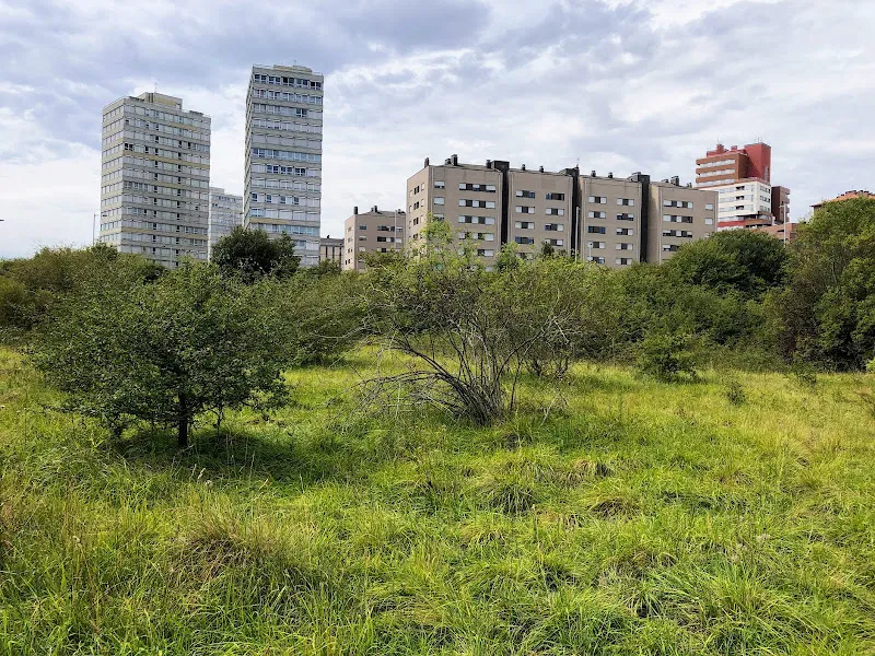 Residencia Tagore S.L.U.